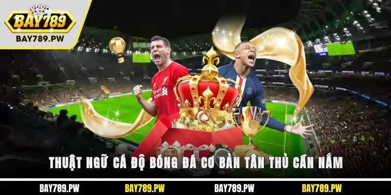 Thuật ngữ cá độ bóng đá cơ bản tân thủ cần nắm